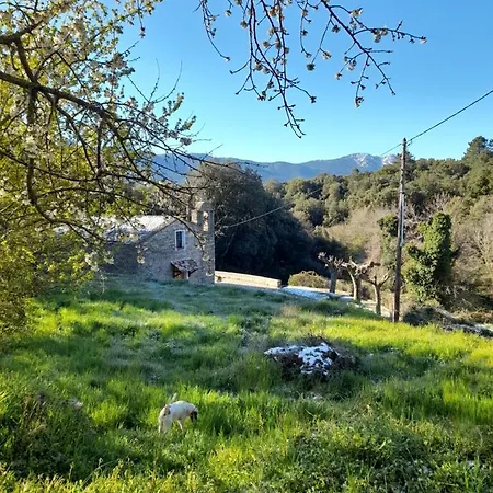 Chez Paulette - Meuble De Tourisme Classe 3 Etoiles Zonza