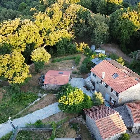 Chez Paulette - Meuble De Tourisme Classe 3 Etoiles * Zonza