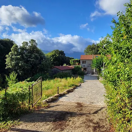 Chez Paulette - Meuble De Tourisme Classe 3 Etoiles Zonza