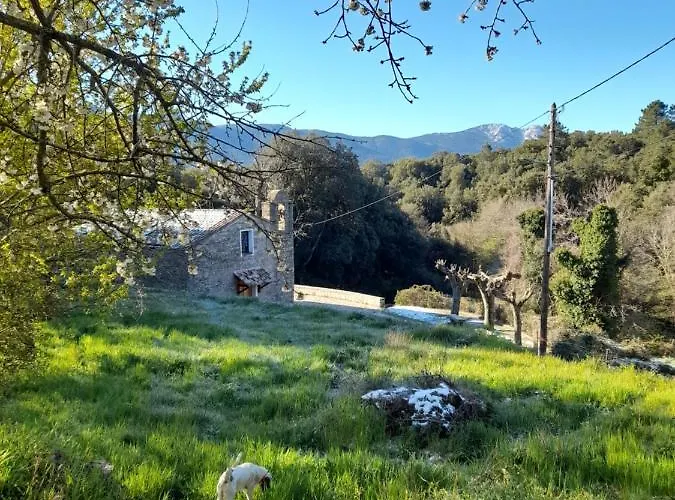 Chez Paulette - Meuble De Tourisme Classe 3 Etoiles Zonza
