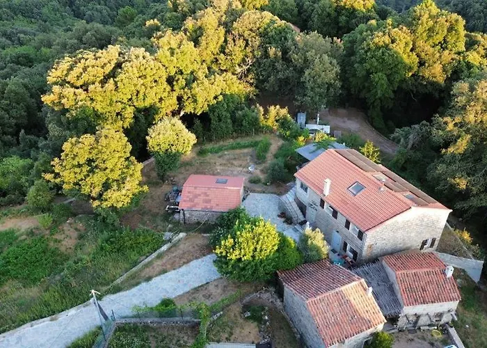 Chez Paulette - Meuble De Tourisme Classe 3 Etoiles * Zonza