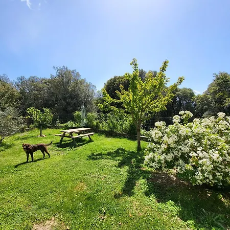 דירה Chez Paulette - Meuble De Tourisme Classe 3 Etoiles זונזה