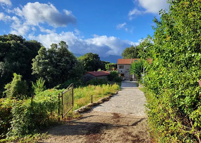Chez Paulette - Meublé De Tourisme Classé 3 étoiles Zonza